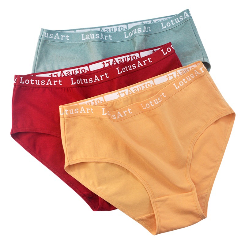 Ropa interior femenina de algodón, cintura media y alta, tallas grandes, verano, transfronterizo
