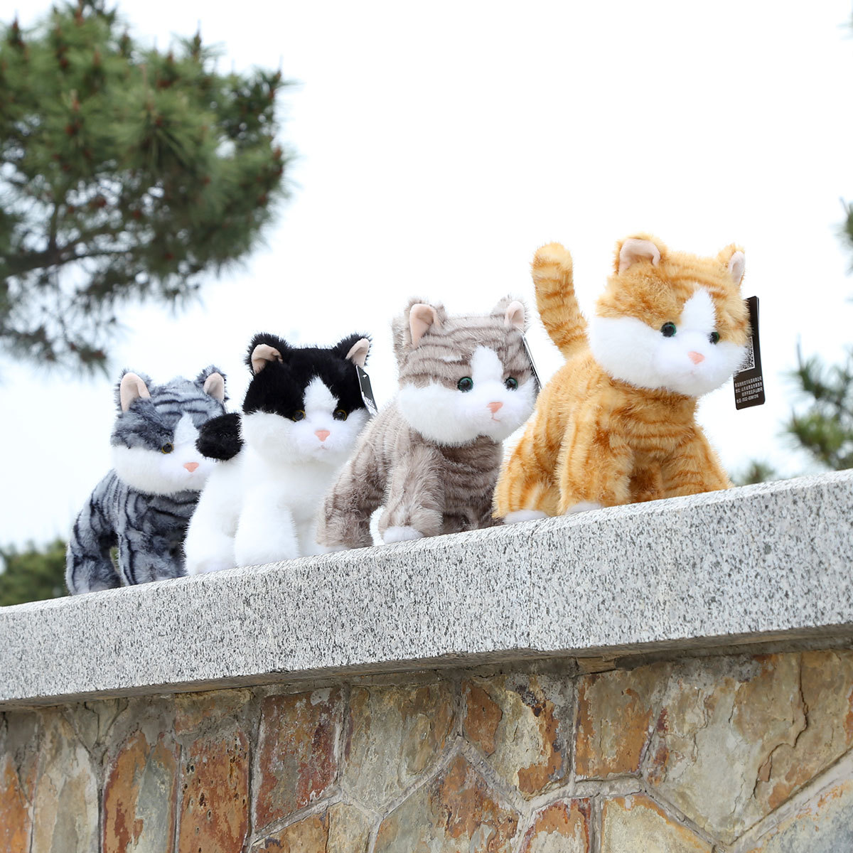 乖乖猫公仔毛绒玩具抱抱宝贝猫咪玩偶批发生日礼物女生可爱布娃娃