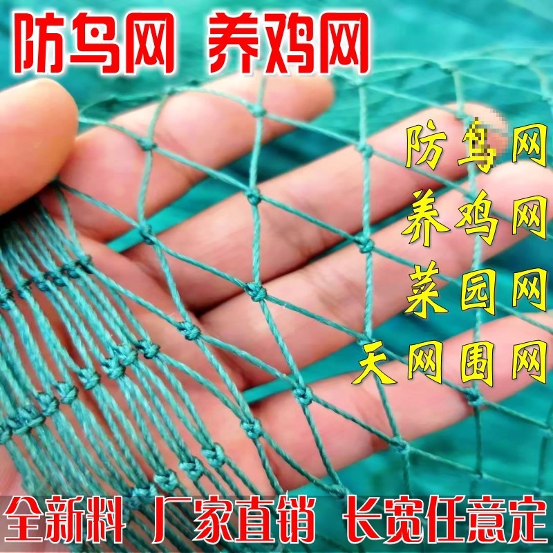 家禽养鸡网拦鸡网养殖网菜园网护栏网围山鸡网防鸡网尼龙网