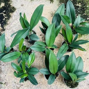 �������桿ϡ�����F�����m�R����}1�m����������҃�����