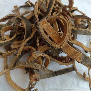 ��ș�������Ƥ1���� ������Ƥ�������� ����Ƥ ���Ә�Ƥ