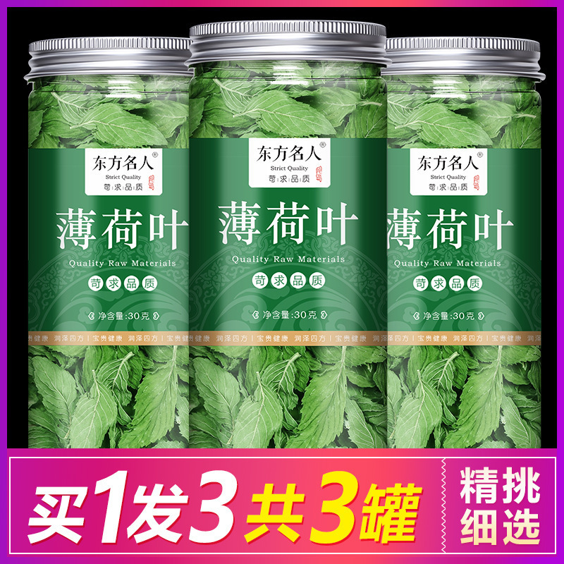Mint Leaf Tea Fresh Edible Extra Cool Soak in Water to Drink Something to Chew Dry Mint Bulk Tea Drink