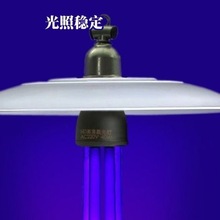 TxڹxBֳ~xxwTrÚxˮo