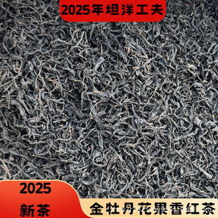 2025�²��ĵ���t��̹�󹦷򻨹���t��S��ֱ�l֧������o����