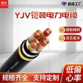 YJV铠装2芯2*2.5/4/6/10/16护套线YJV22铜芯低压电线电力电缆线