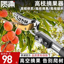 �ձ�Ʒ�|ժˮ��������֦��÷�߿���s�U��ժ���ӹ�����֦����