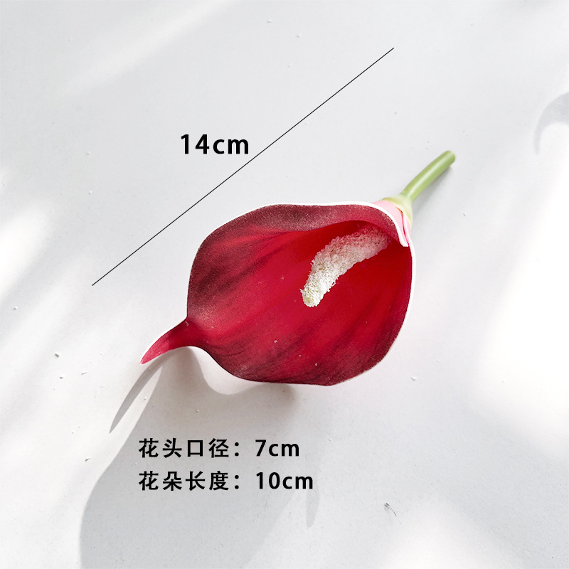 레드 미니