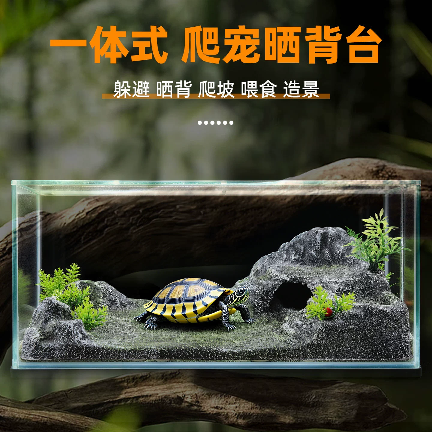 Черепаха поднимается на платформу