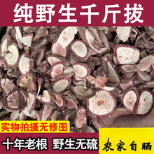 ǧ��ΰ�ǧ���荵��Lţ�����Ҝ�һ�l��Ұ�����ݾ��Ͻ����