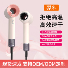 Yimi 高速ヘアドライヤー家庭用ハイパワー高価値ヘアドライヤー強風マイナスイオンヘアドライヤー