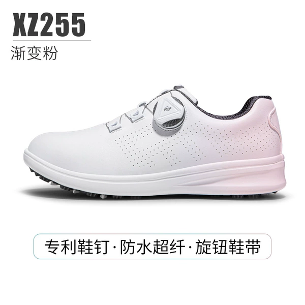 XZ255-Gradient Powder