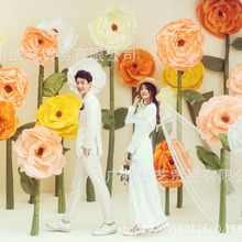 cY·yƷֹ﹝ͯɌb