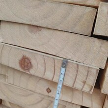 ��ľ��� ������ ݗ���� ���~�� ������ ���� ԭľ���