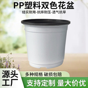 �����pɫ����PP���Ϻڰ�ײɫ������������躆���pɫ�����l؛Դ