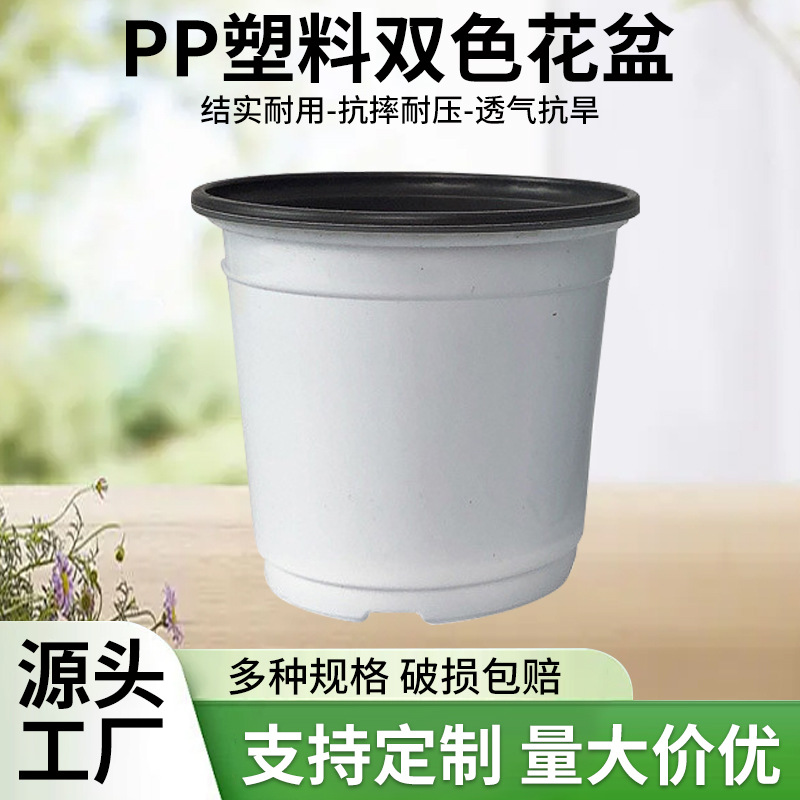 盆栽双色花盆PP塑料黑白撞色花盆多肉育苗盆简易双色盆批发货源