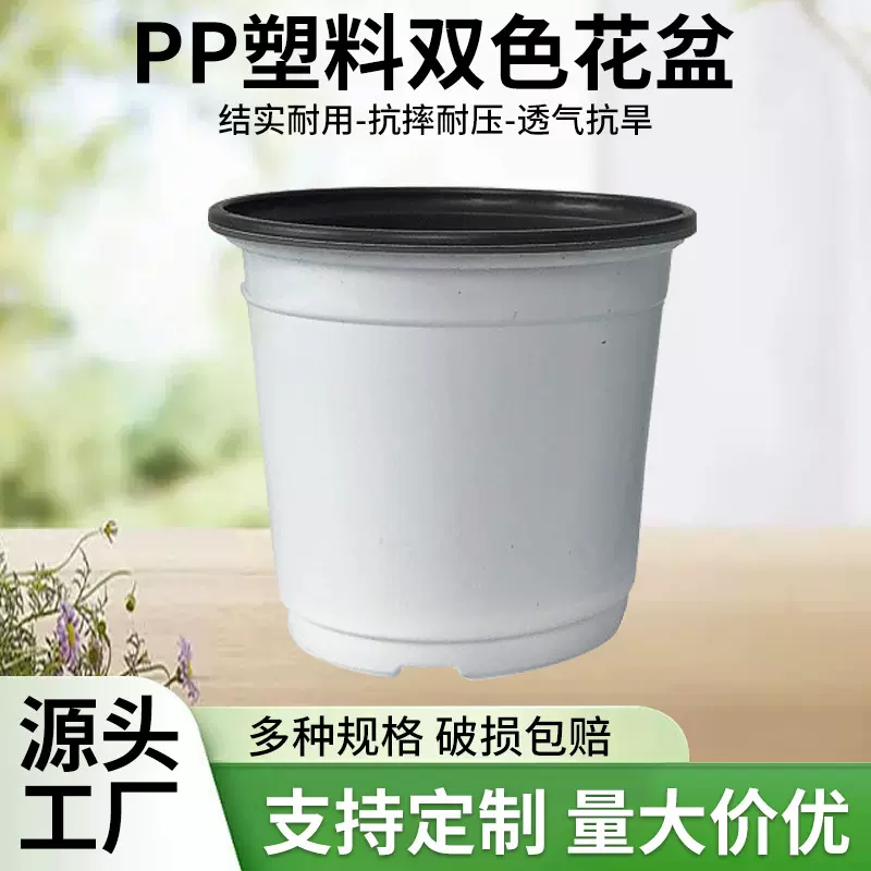 盆栽双色花盆PP塑料黑白撞色花盆多肉育苗盆简易双色盆批发货源