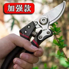 园林树枝粗枝剪果树剪子家用盆栽花园花圃专用剪子园丁园林树枝剪