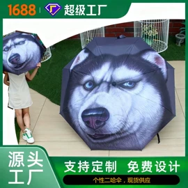 雨伞;晴雨伞;遮阳/太阳伞