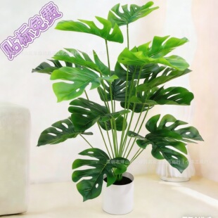 �羳�������ٻ��Gֲ��������lؔ��߼��б���������������b�