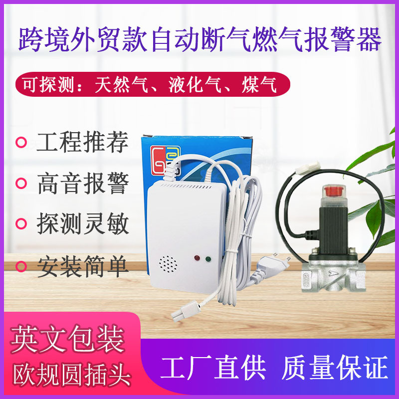 国境を越えた電気商対外貿易金欧州規格英語ガス警報器天然ガス液化ガス漏洩検出器|undefined