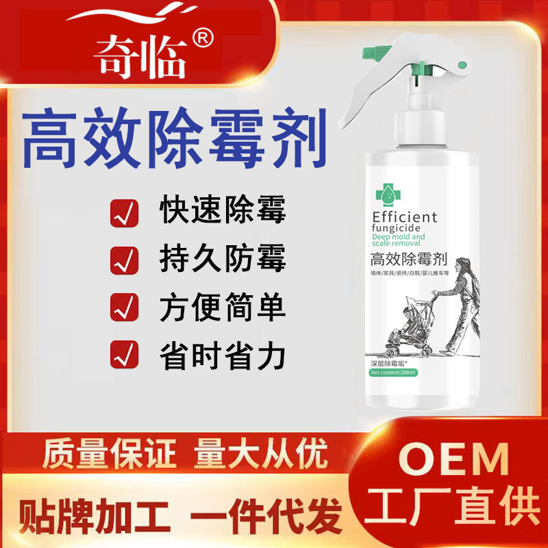Wholesale Mold Remover for Walls, Furniture, Tiles, White Shoes, Baby Strollers, Etc., Removes Mold Spots and Mold Remover Magic Tool Wholesale Mold Remover for Walls, Furniture, Tiles, White Shoes, Baby Strollers, Etc., Removes Mold Spots and Mold Remover Magic Tool