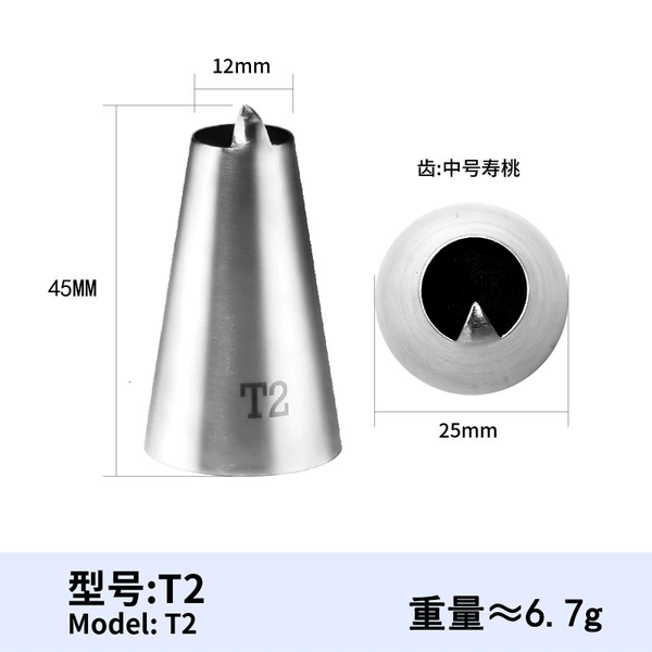 T2
