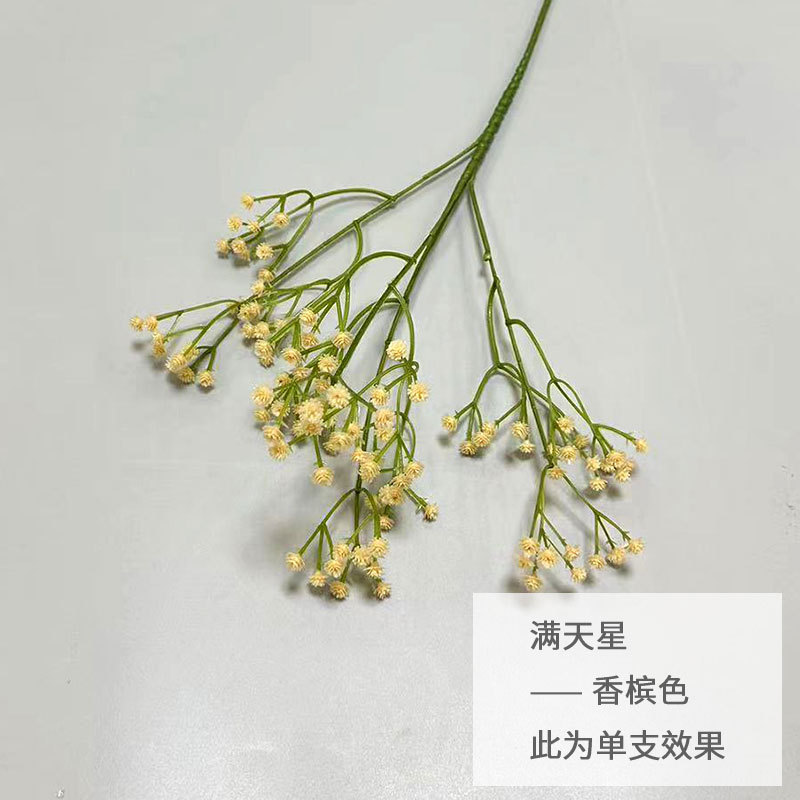 샴페인