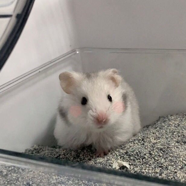 0e4bc88c-9d51-4b98-83ec-546e3973ab72.jpe