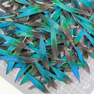 �c����ë ���ϝ{�´��Bë�W�^ë��ȸ������ë�c��diy��������