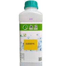 ���y�a��_��P���o�����}�F���һ�ܲ�˥��