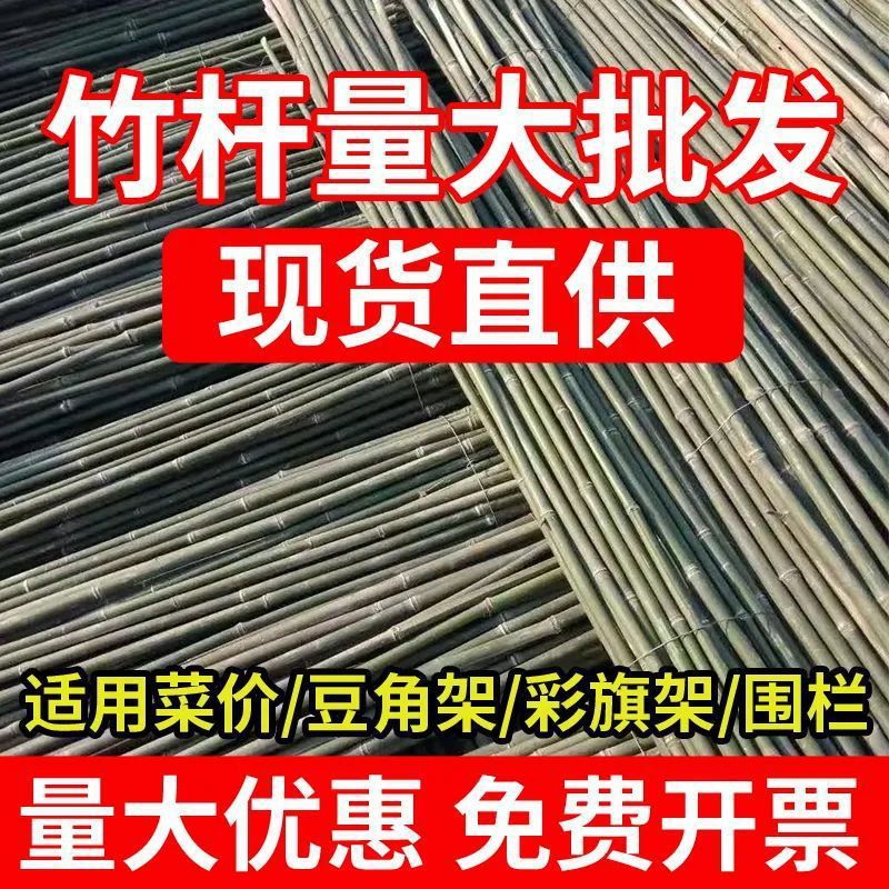 竹竿菜园搭架竹子户外旗杆黄瓜豆角爬藤菜架竹杆支架豇豆搭架杆|undefined
