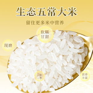 ���ɶ��ơ��峣����10kg�|�������r�׬Fĥ�F�l20��һ�����Sֱ�l