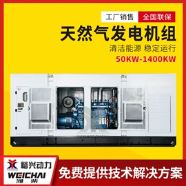 柴油发电机组;燃气发电机组;自吸泵