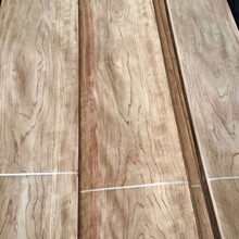 ľƤ λľƤ 㻨  ޻ ޻yy