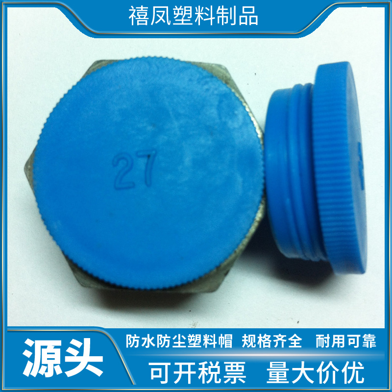 各种规格  塑料螺纹内塞  带螺纹的 堵头
