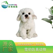 厂家批发 仿真马尔济斯犬 狗狗玩具儿童毛绒可爱公仔生日礼物送人