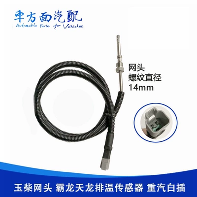 Suitable for Hongyan Jieshi, Kai Digər kuzov və aksesuarlar - square-two-pin-plug