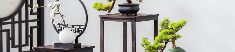 4d209935-7bd4-49d3-abf5-116bab315299.jpe