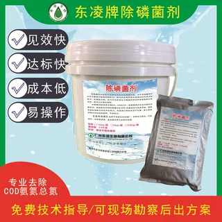 复合菌种降氨氮COD缺氧池减少污泥量去除大分水解