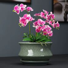 ����ר�û���͸���մɵ��������������������й�����ֲ�����辰��