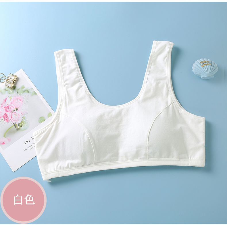 222dd1b6d7924b85b5c07f2802e883