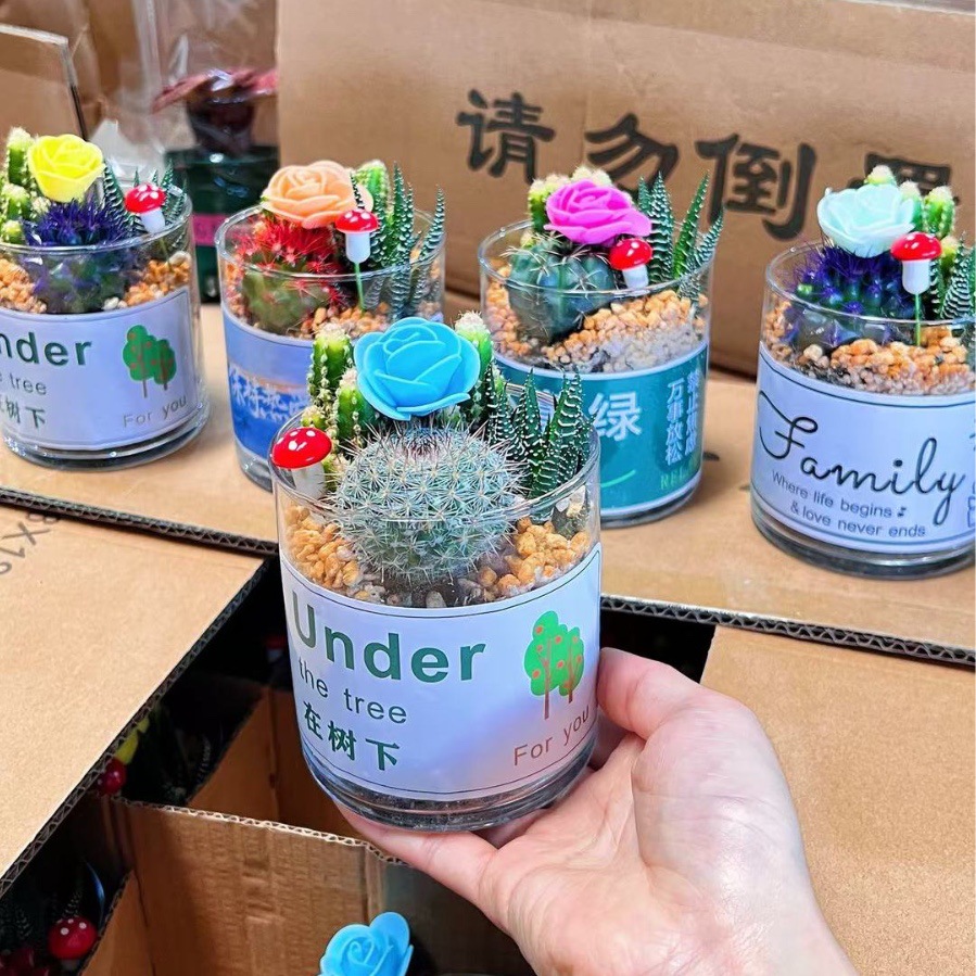 Cactus combinación de vidrio cerámico base de guangzhou venta directa factura boleto especial soporte de cotización de tres partes fábrica directa