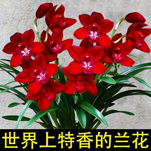�ͺ��͟���B�m���ļ��_�������ͽ��m�҃ȾGֲ�������������F��ާ