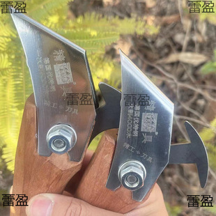 ��֬�����@�_����֬��ľ������ʡ�������h�����͵����ɘ��֬��¶