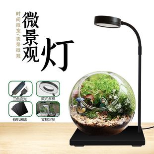 Micro landscape light fill light board fish tank desktop aquarium spotlight fleshy plant water a batch of generation