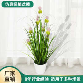 仿真蔷薇绿植盆景丝花仿真洋葱草假花假树家居装饰婚庆布景小盆栽