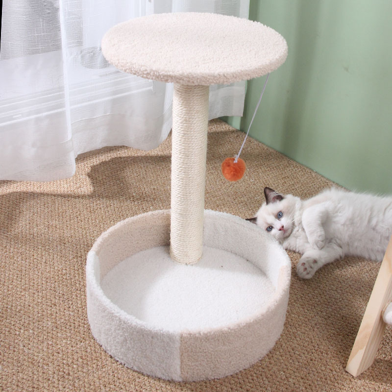 백미 더블 컬러 조합