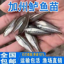 |~絭ˮBֳʳûw~ˮ^p~Ǵں||~l