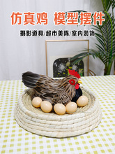 母鸡摆件动物标本模型下蛋母鸡超市美陈直播间装饰工艺品