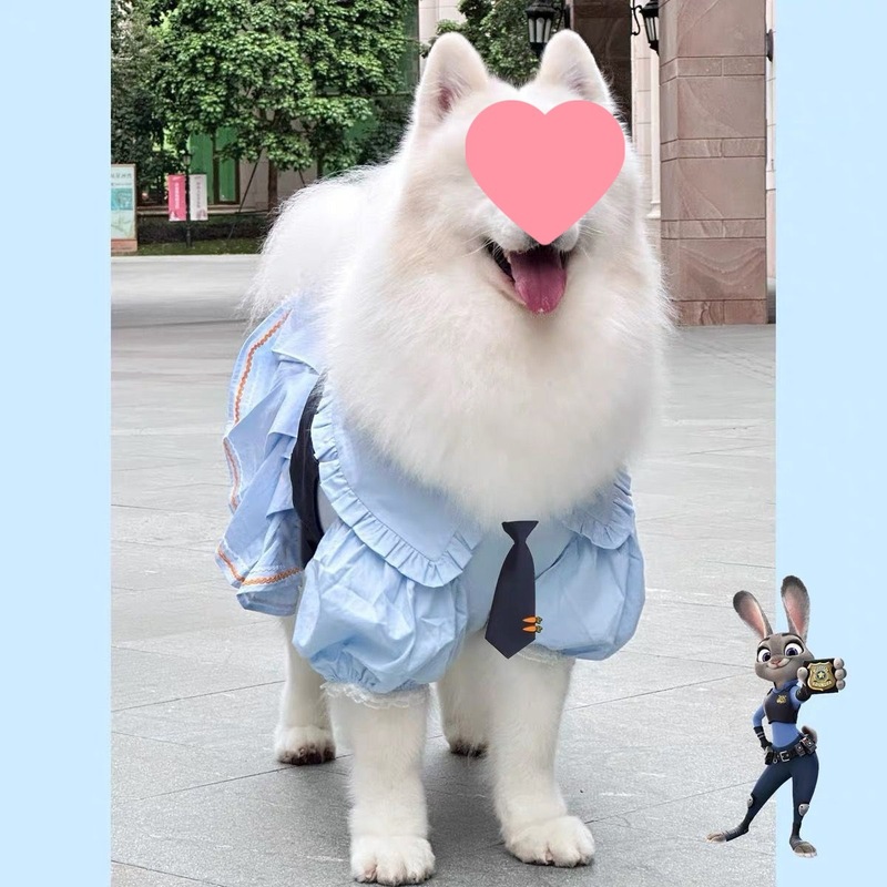 ペット春夏薄手中大型犬プリンセスレーススカートかわいい犬猫服サモエド抗脱毛|undefined